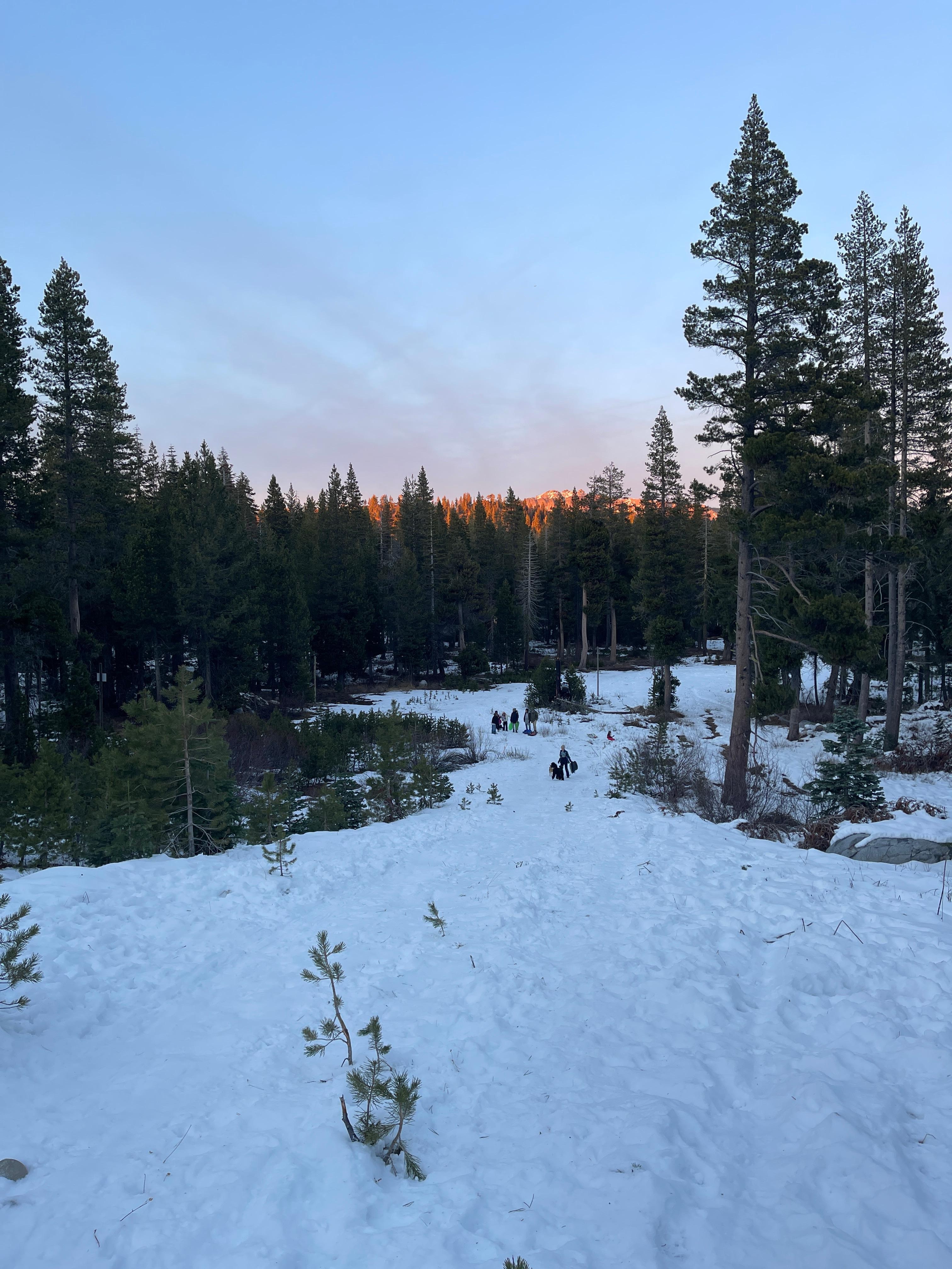 Trail behind the house