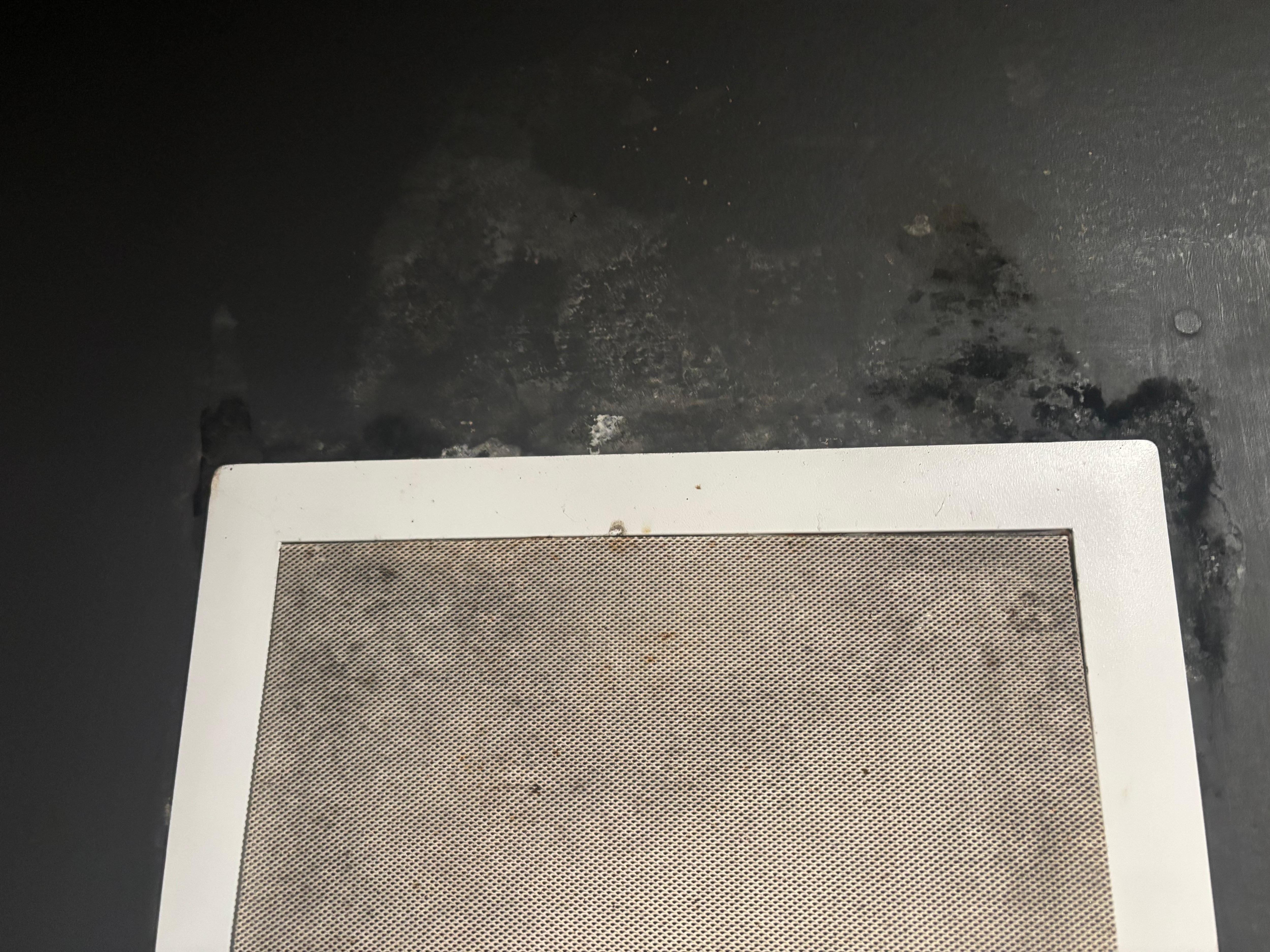 Mold in the theater room 