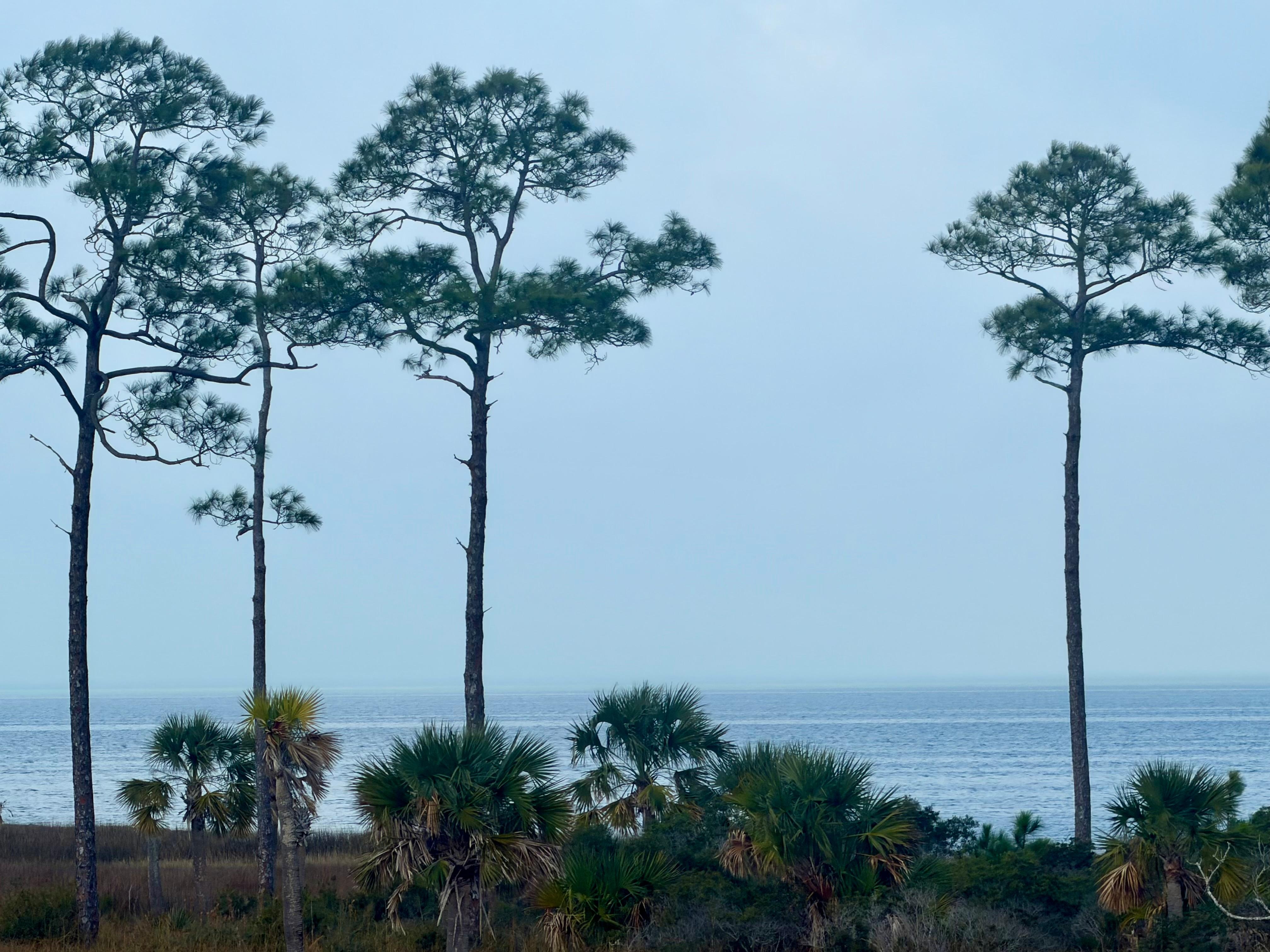 The morning we left little overcast but beautiful view