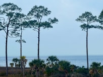 The morning we left little overcast but beautiful view