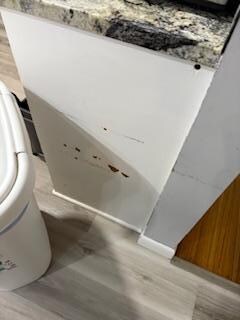 Kitchen wall damage