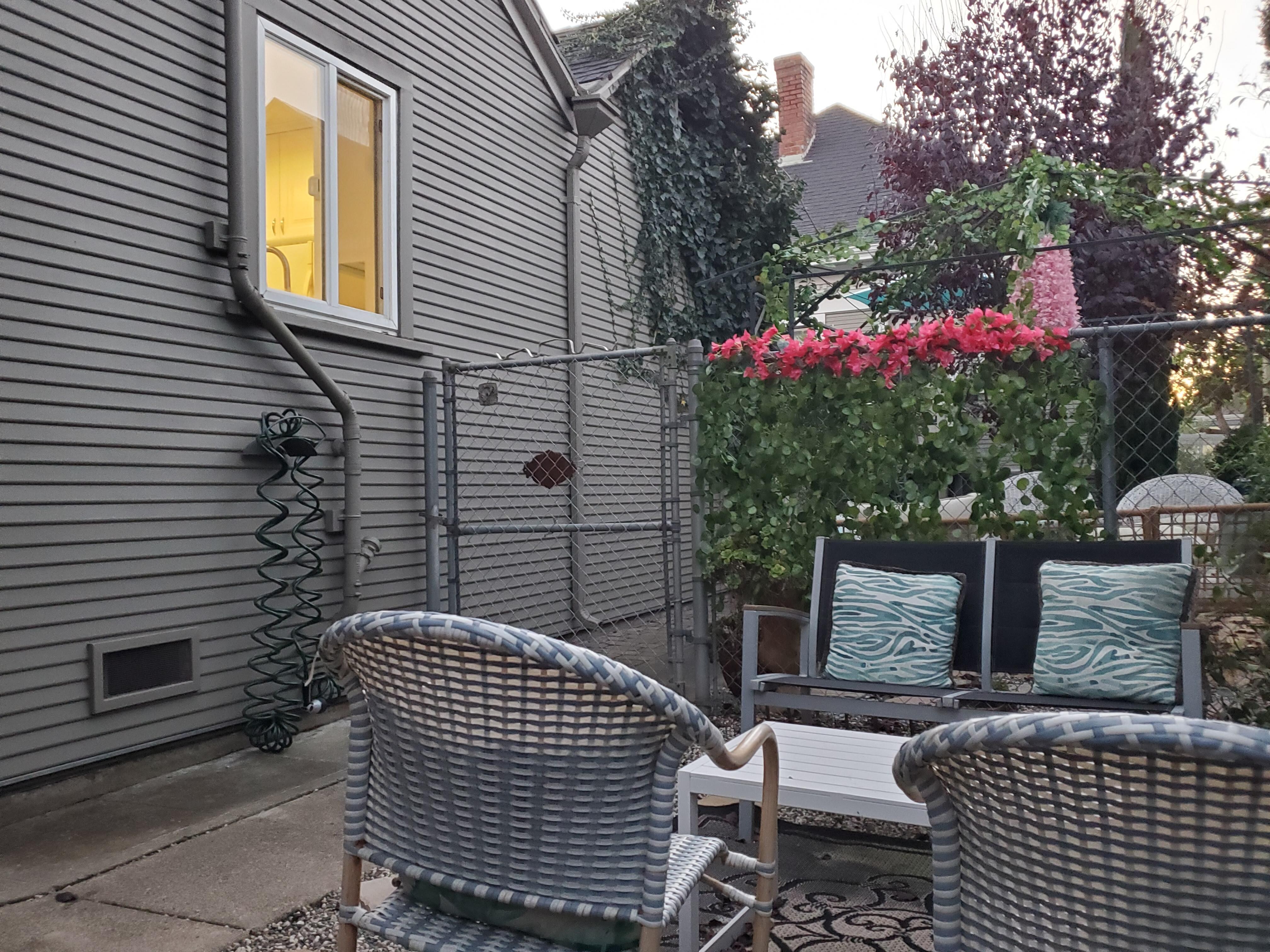 One view from the chair where I sat reading and relaxing in the garden.