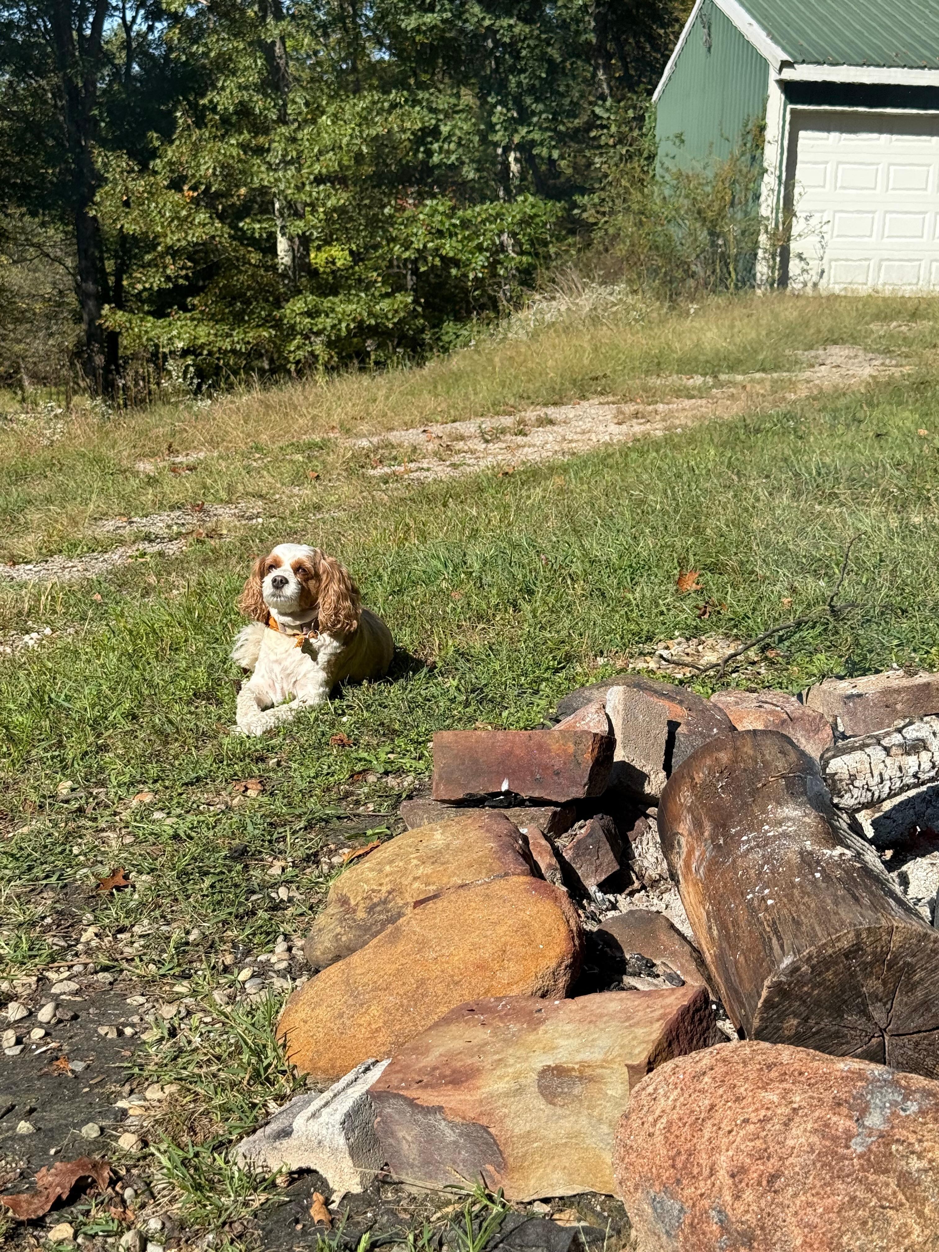 Sadie loved being outdoors. 
