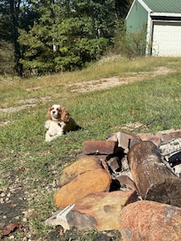 Sadie loved being outdoors.