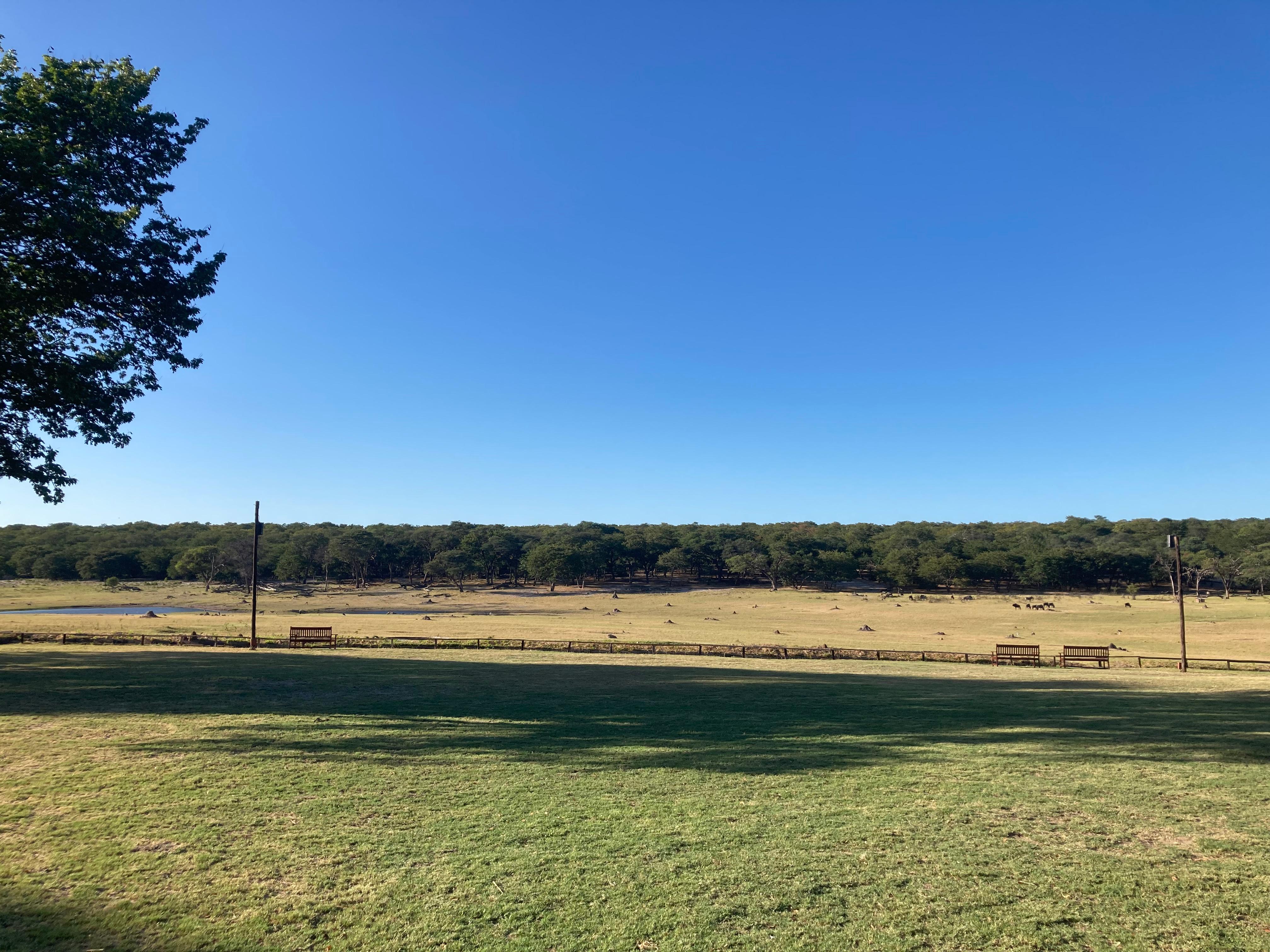 View over the waterhole