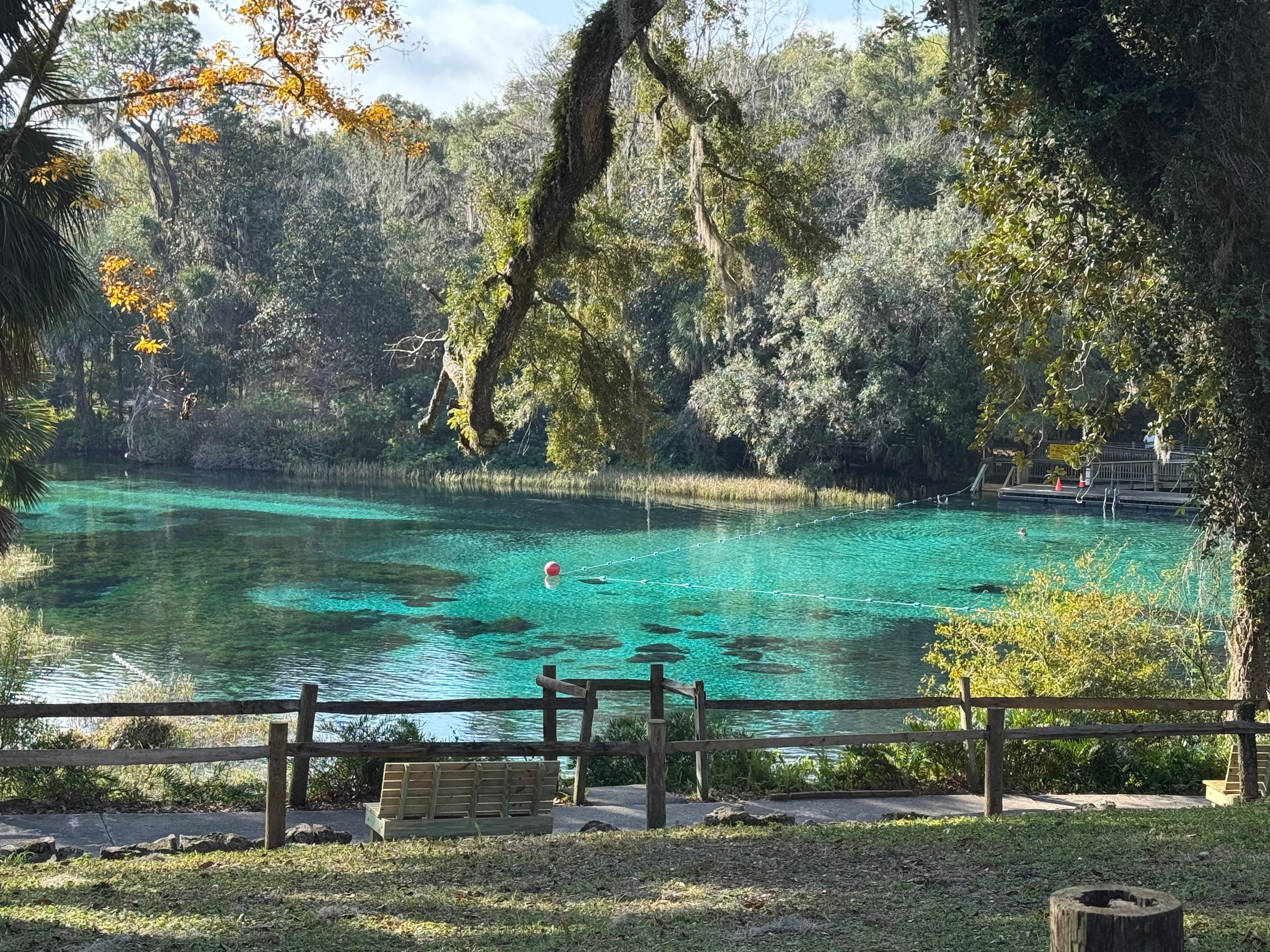 Rainbow Springs State Park just next door!