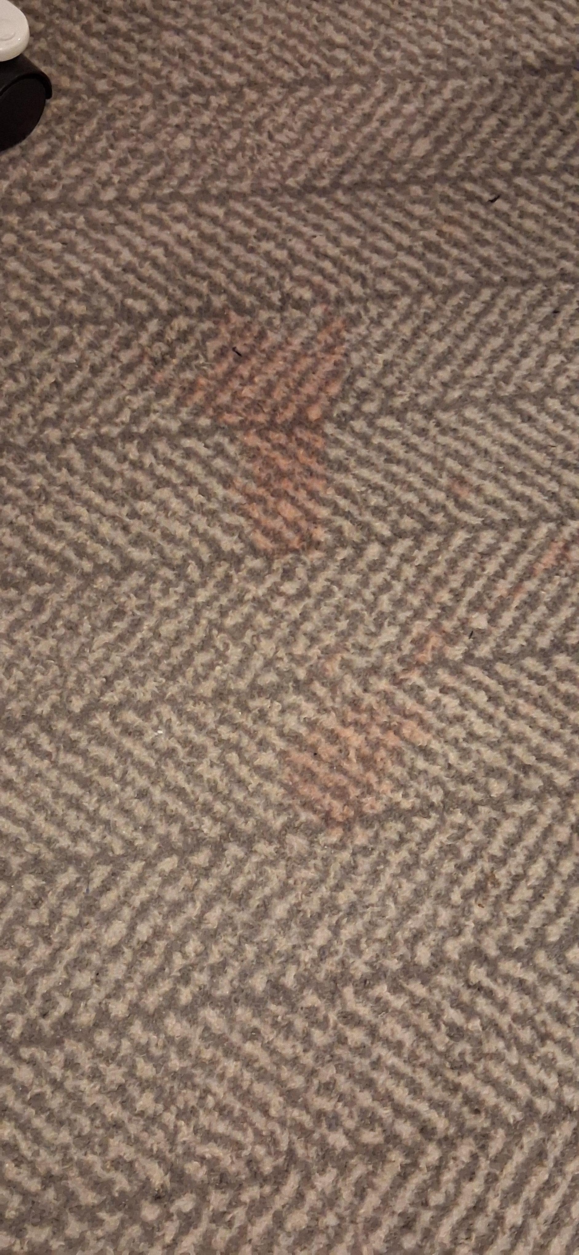 Stained carpet