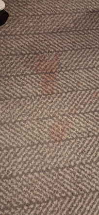 Stained carpet