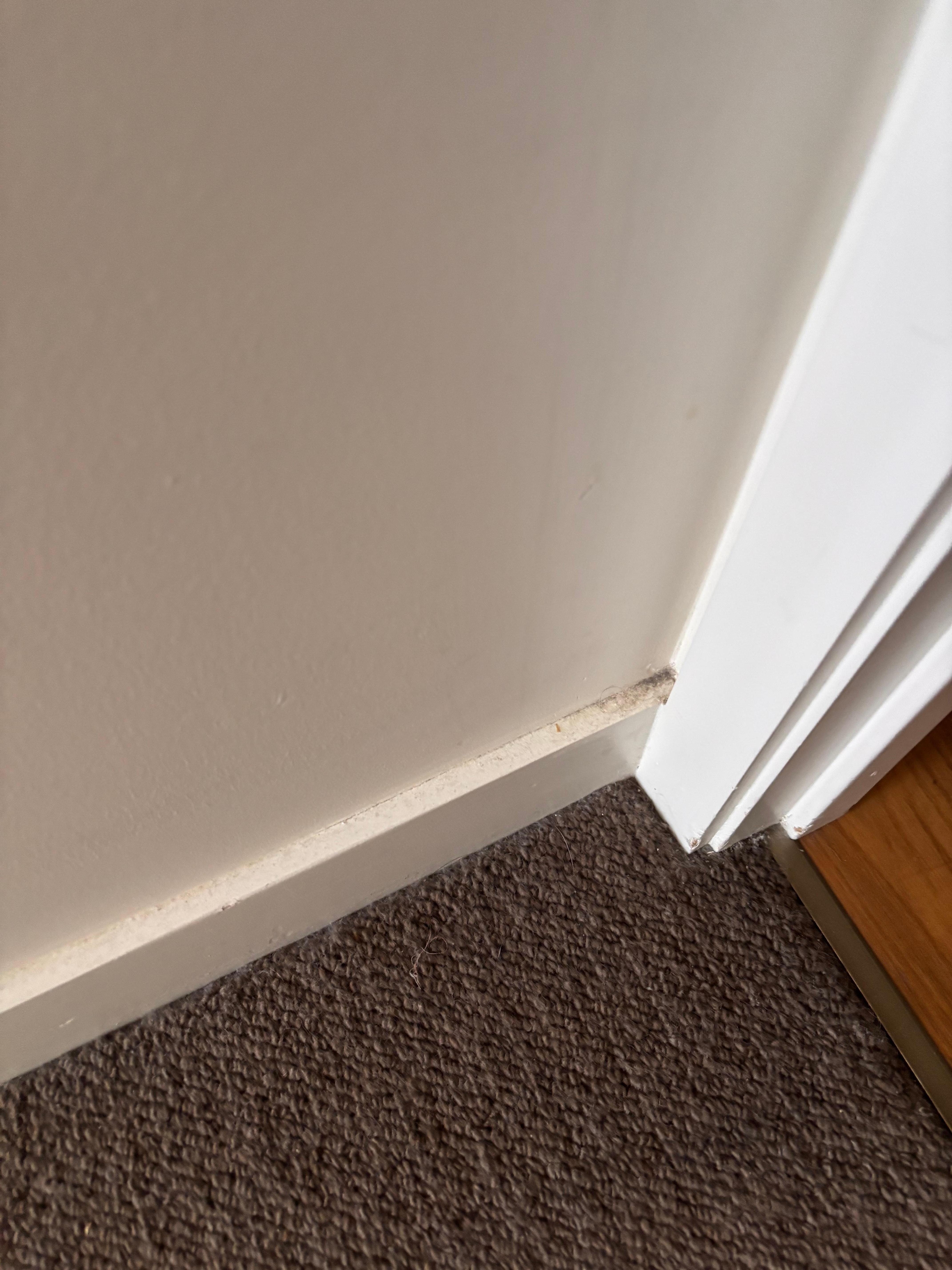 Build up of dust and grime around the skirting boards in the bedroom