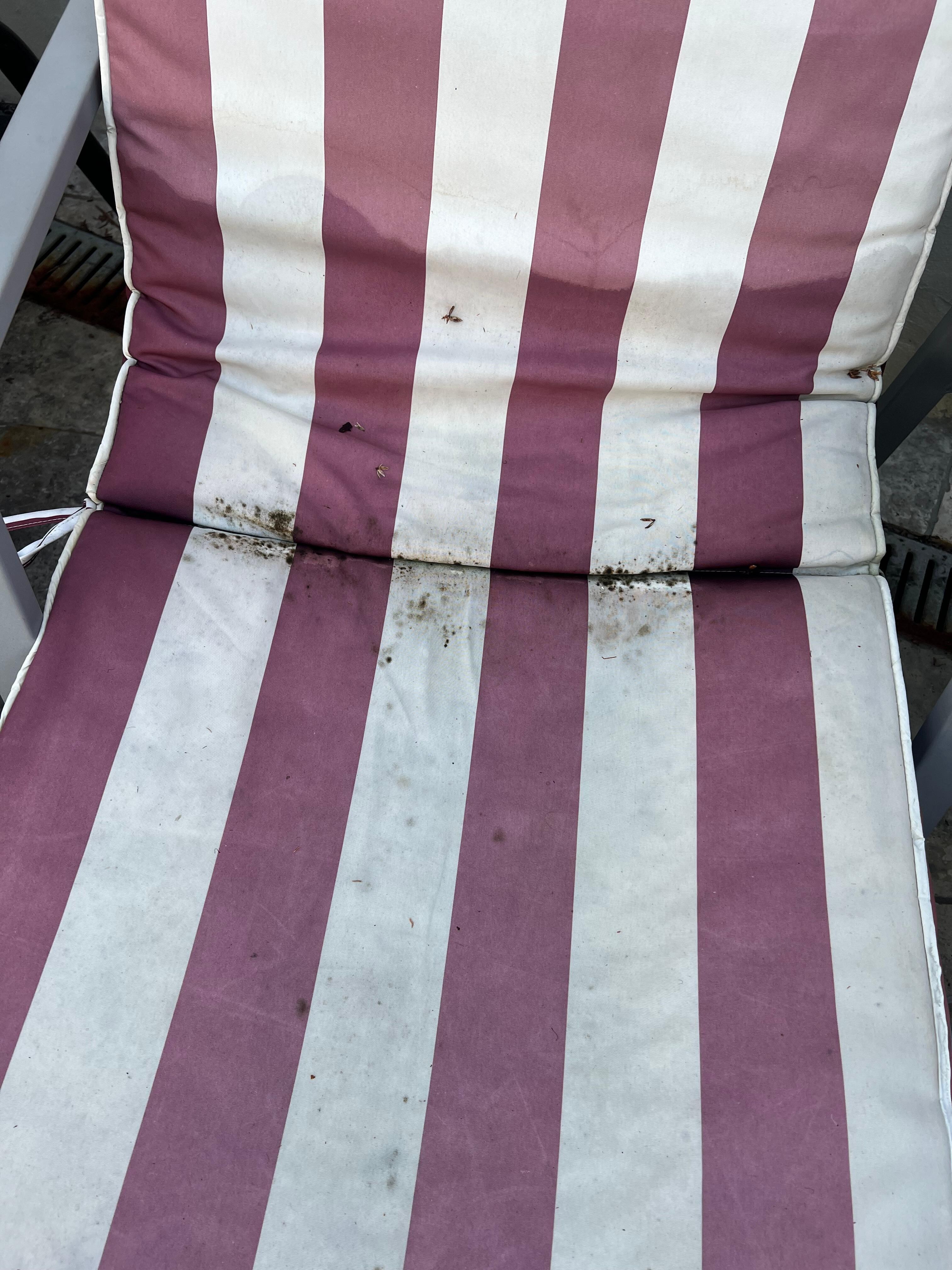 Mouldy outdoor cushions