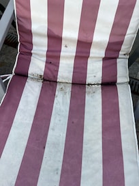 Mouldy outdoor cushions