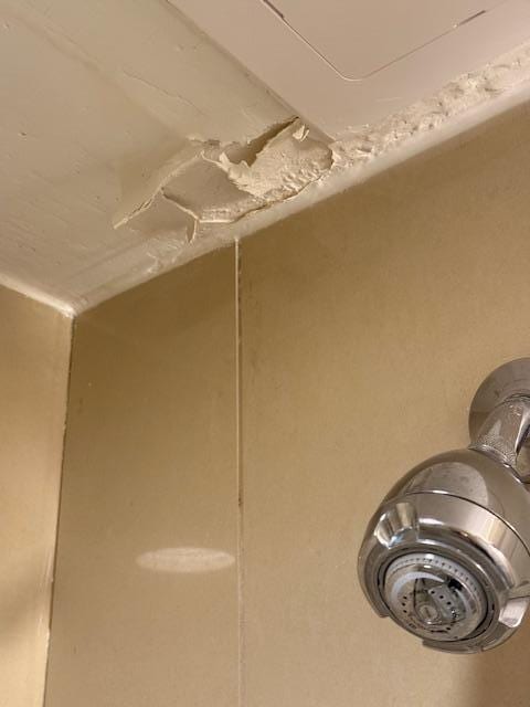 Bathroom ceiling
