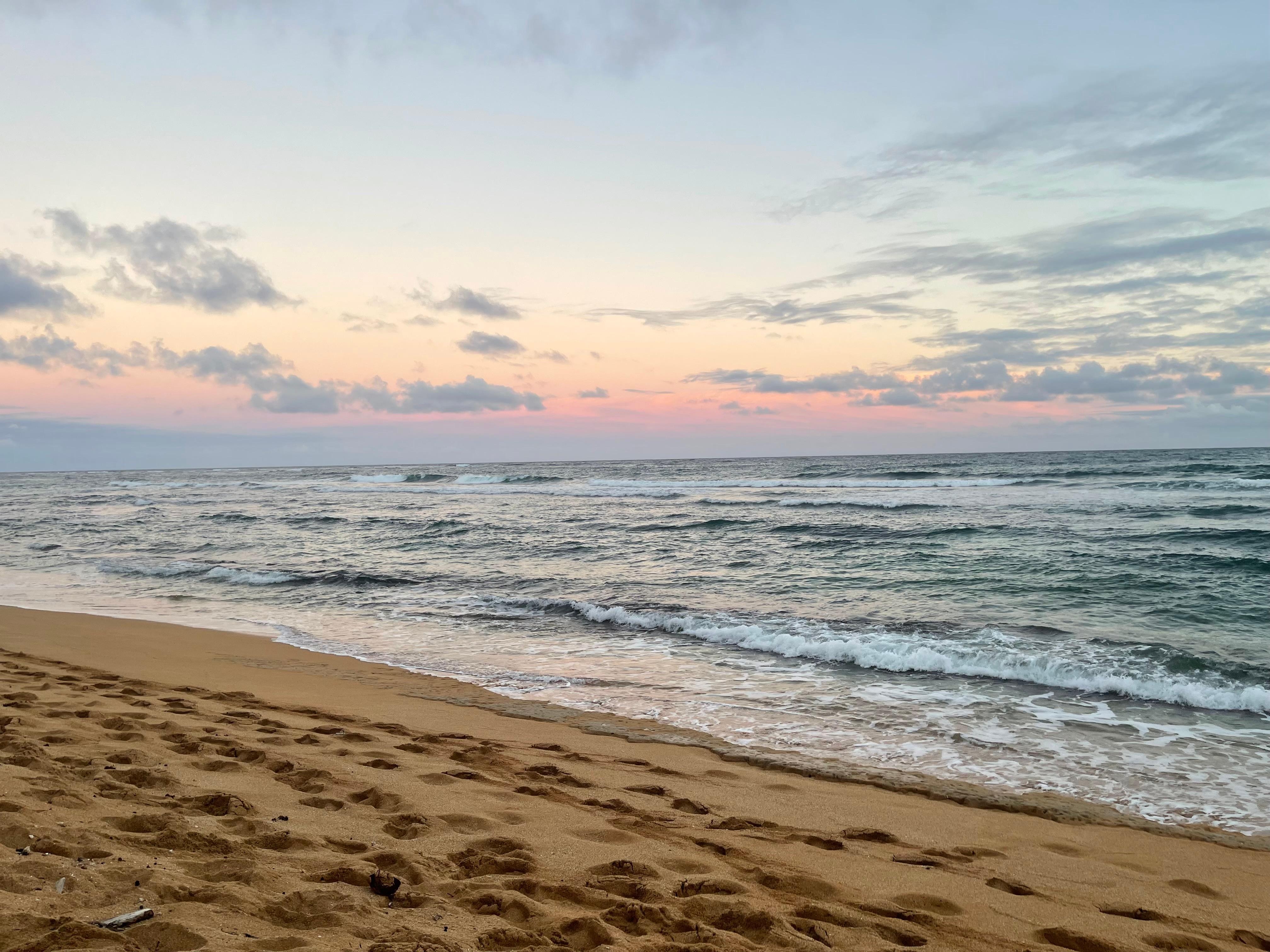 Steps away from our balcony 