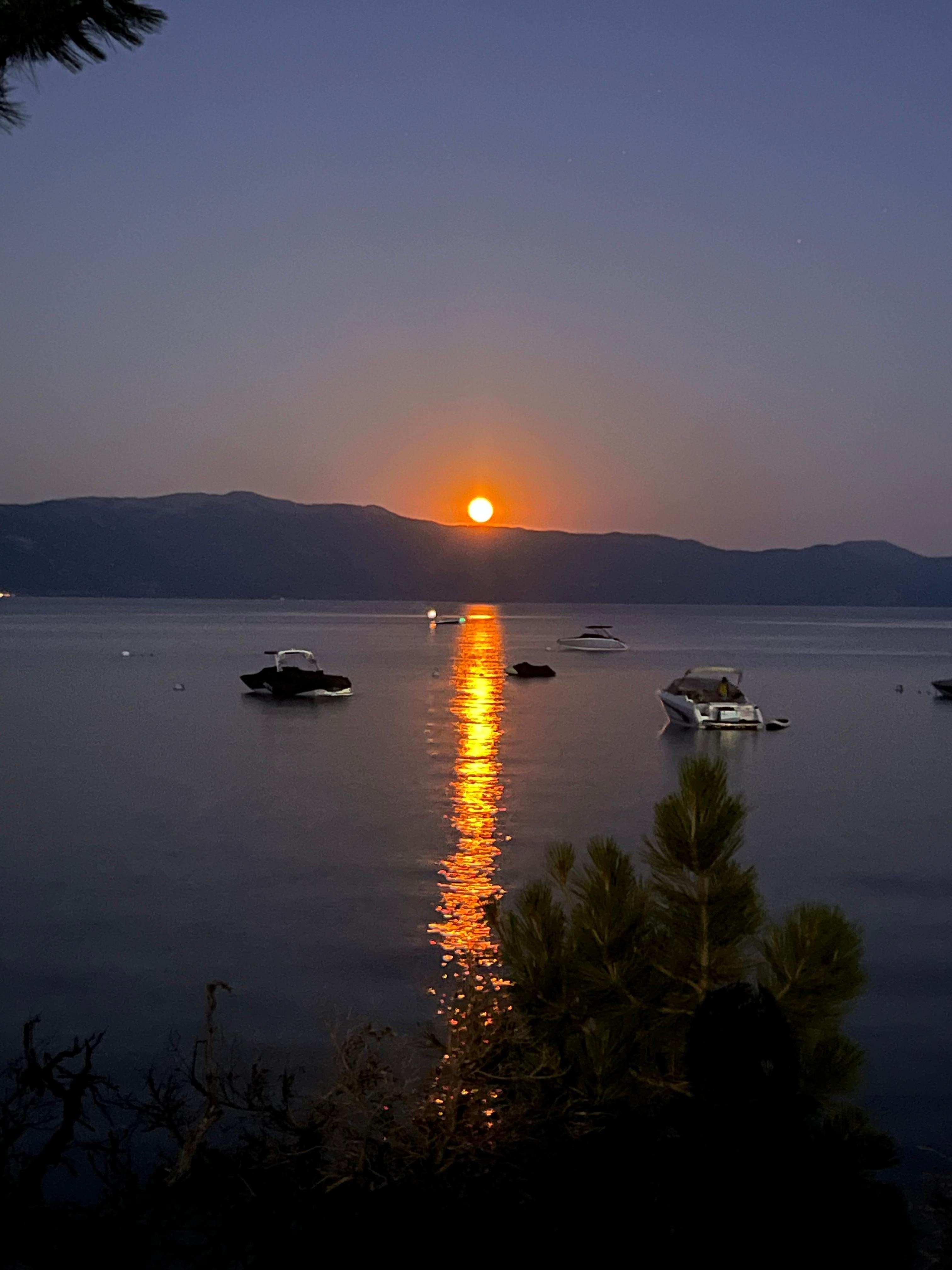 Got the full moon action from across the street. Spectacuar
