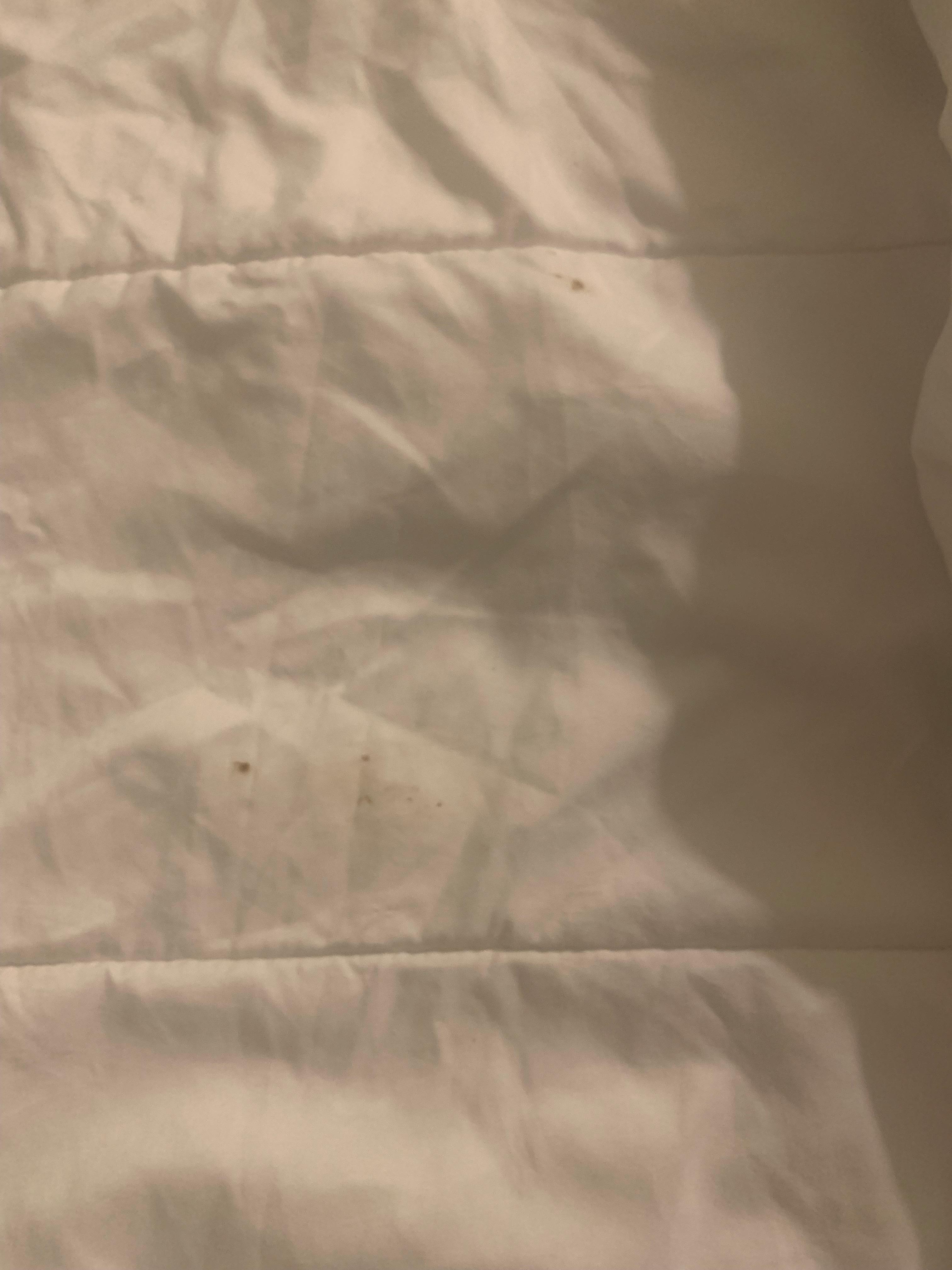 Blood on the comforter that was packaged up for us to make the hide a bed