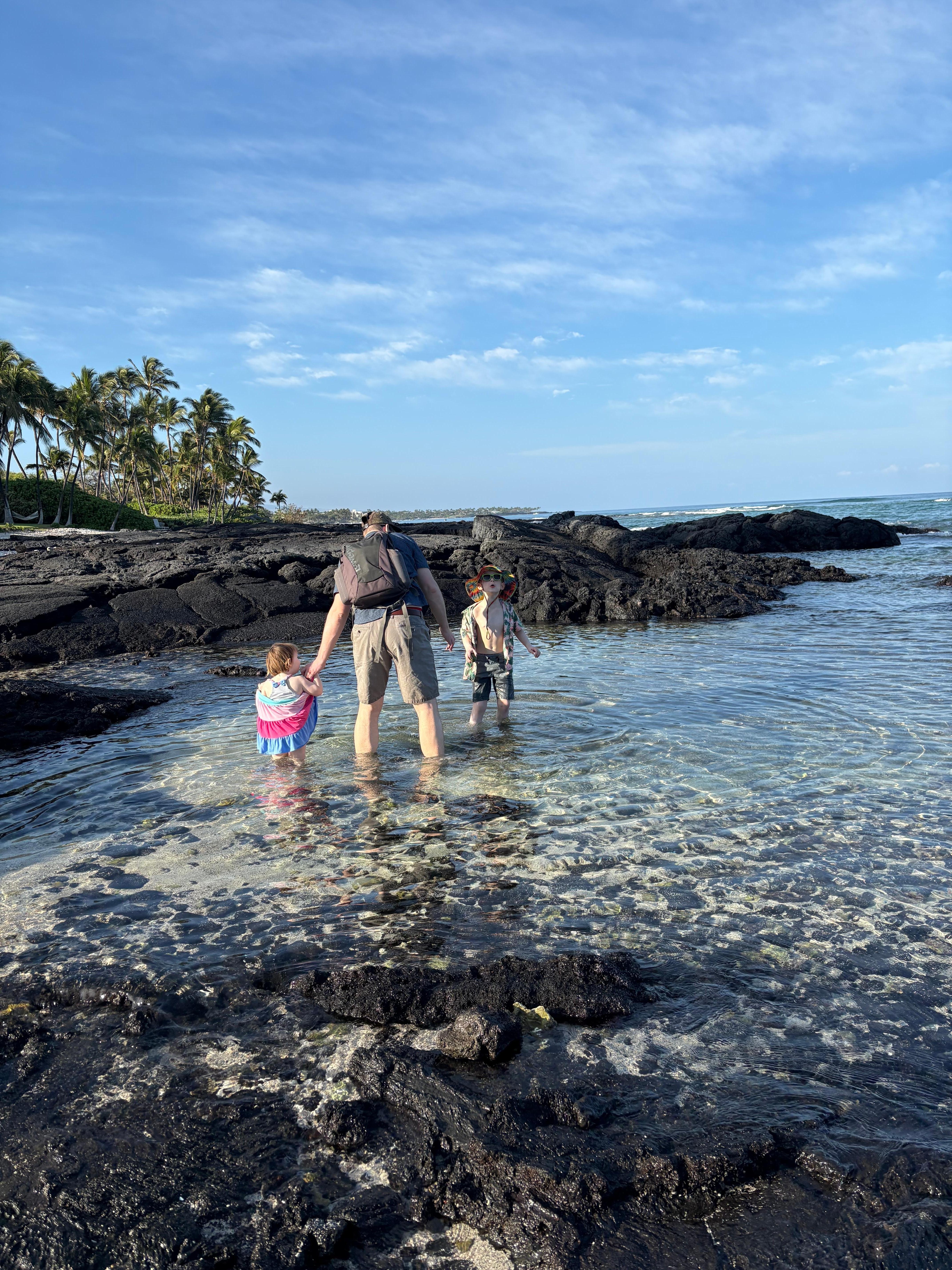 Tide pooling across the street.