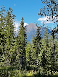 View from the glamping tent.