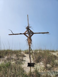 Driftwood sculptures