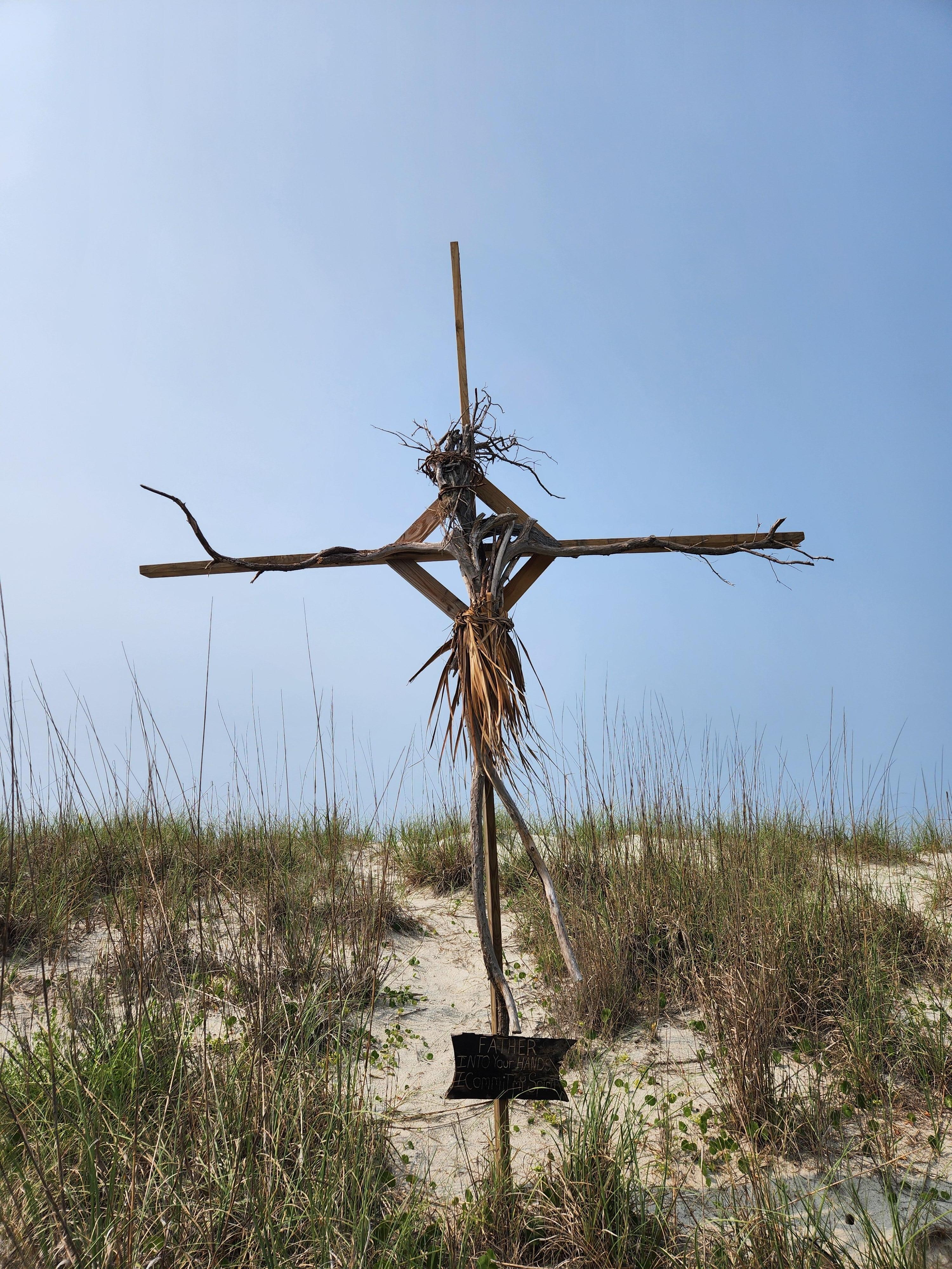 Driftwood sculptures 