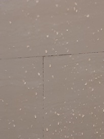 Rien de plus dégoûtant que les traces sur le carrelage de la salle de bain