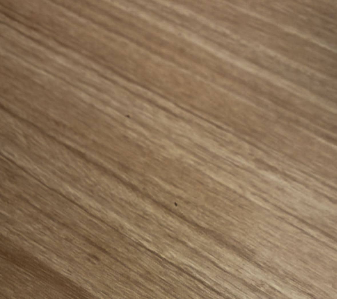 Ant it’s hard to see because I was videotaping I had to screenshot 