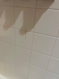 Shower wall unclean
