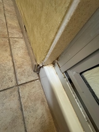 Mold, mildew and dirt all along the floors
