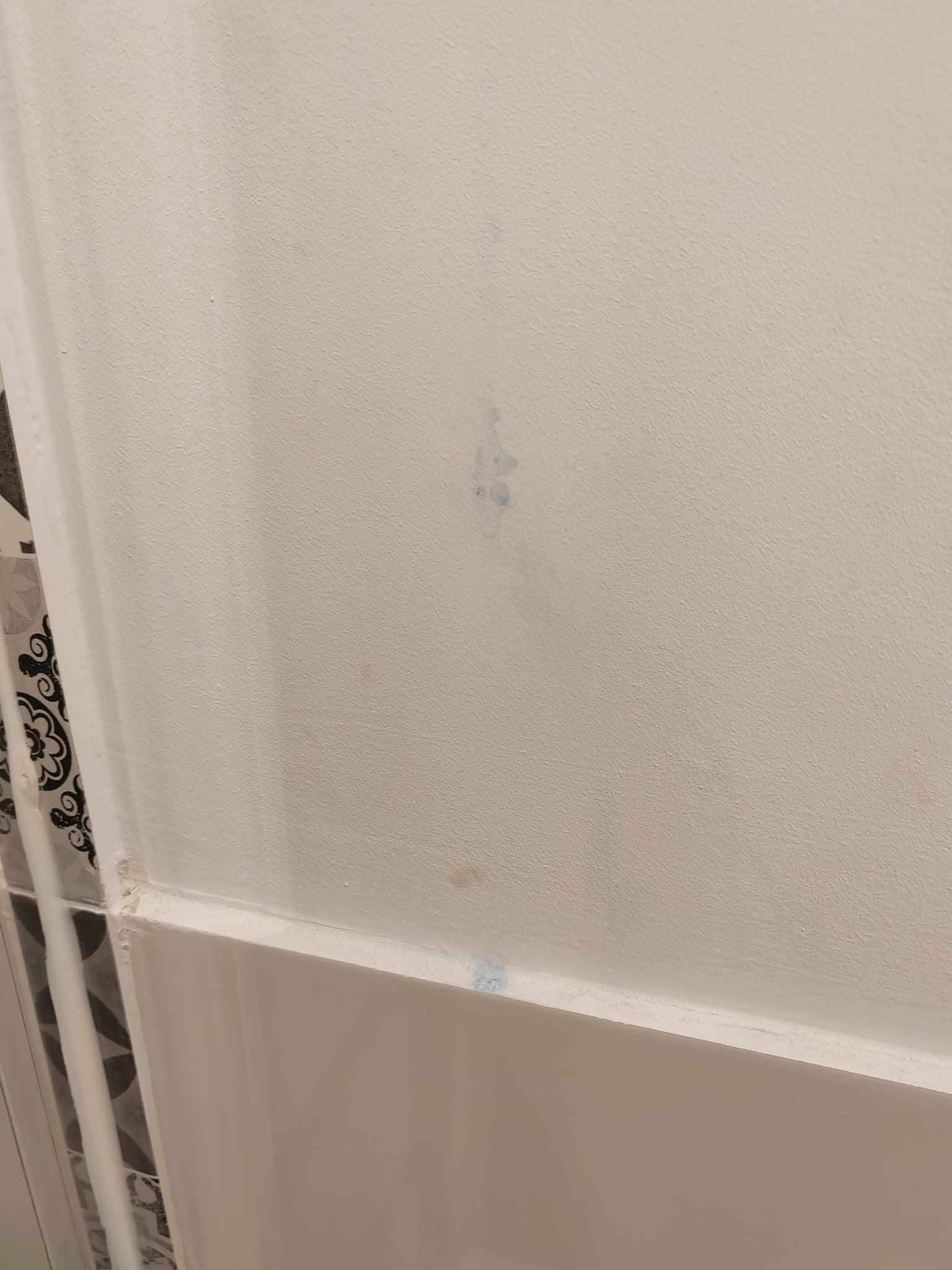 Encore l'une des tĂąches, il y en a de partout, sur tout les murs, chambre ET salle de bain
