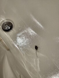 Hair inside the Bathtub, nobody came to clean it.