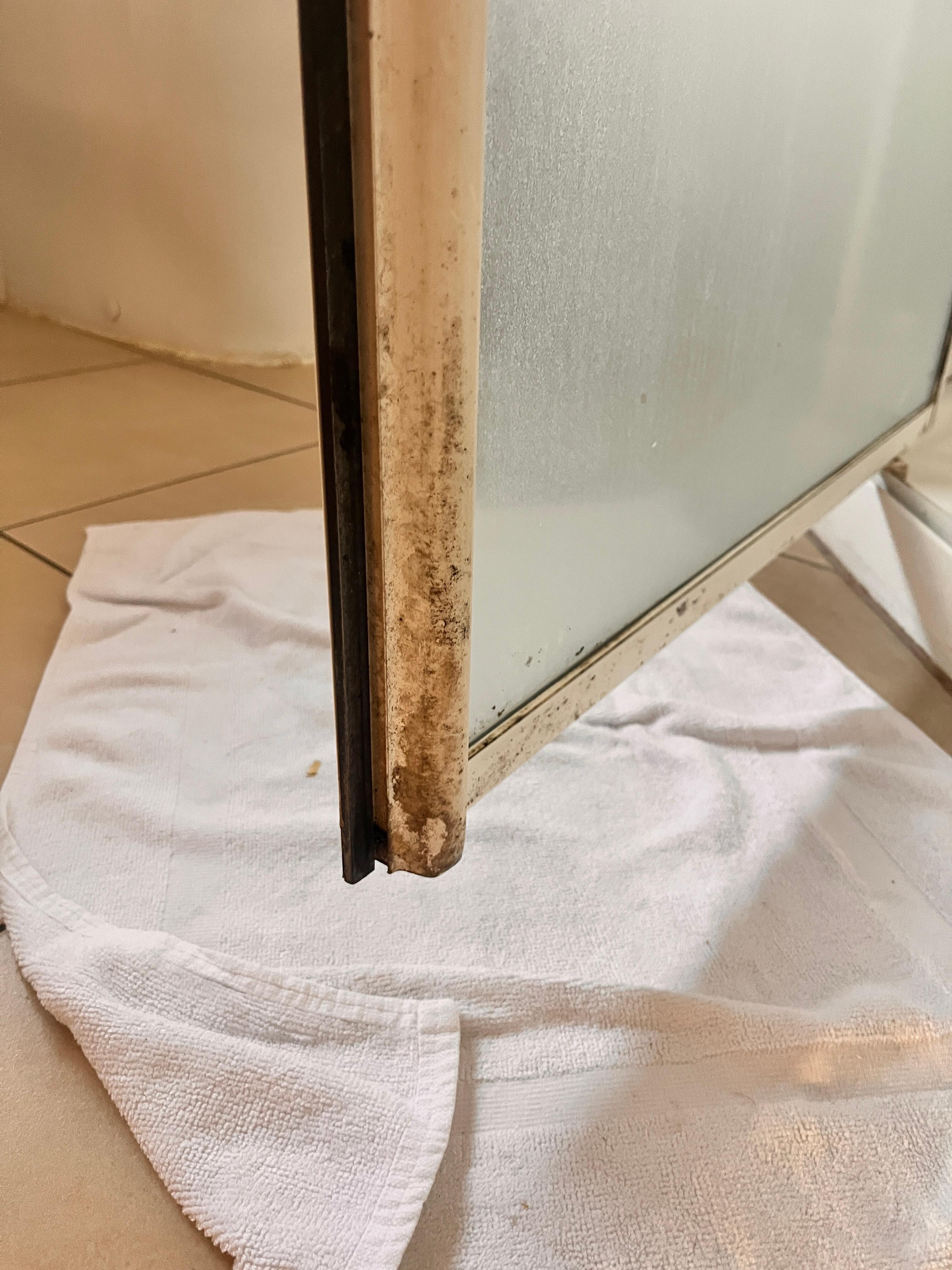 Mould in shower