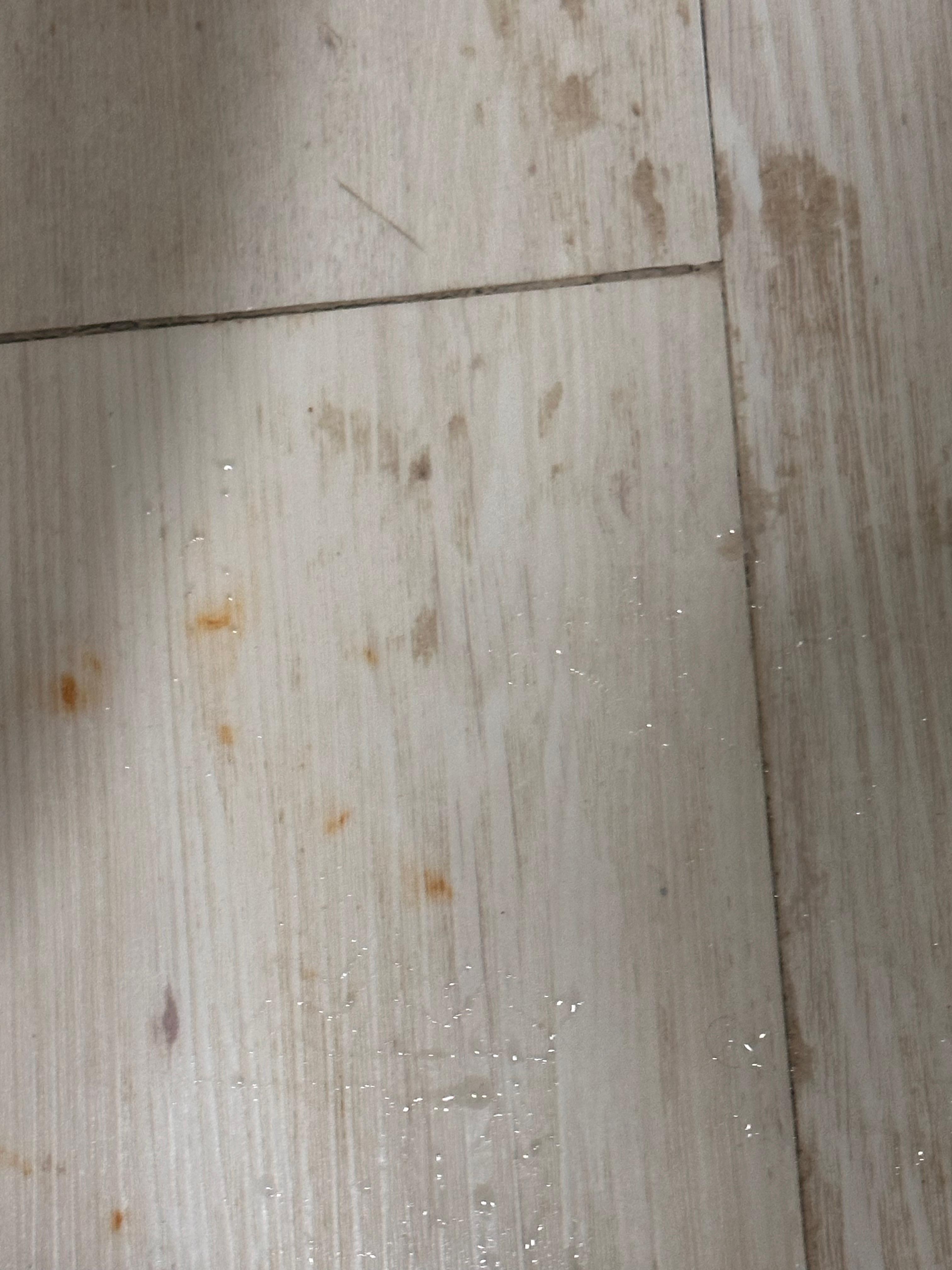 Floor stains