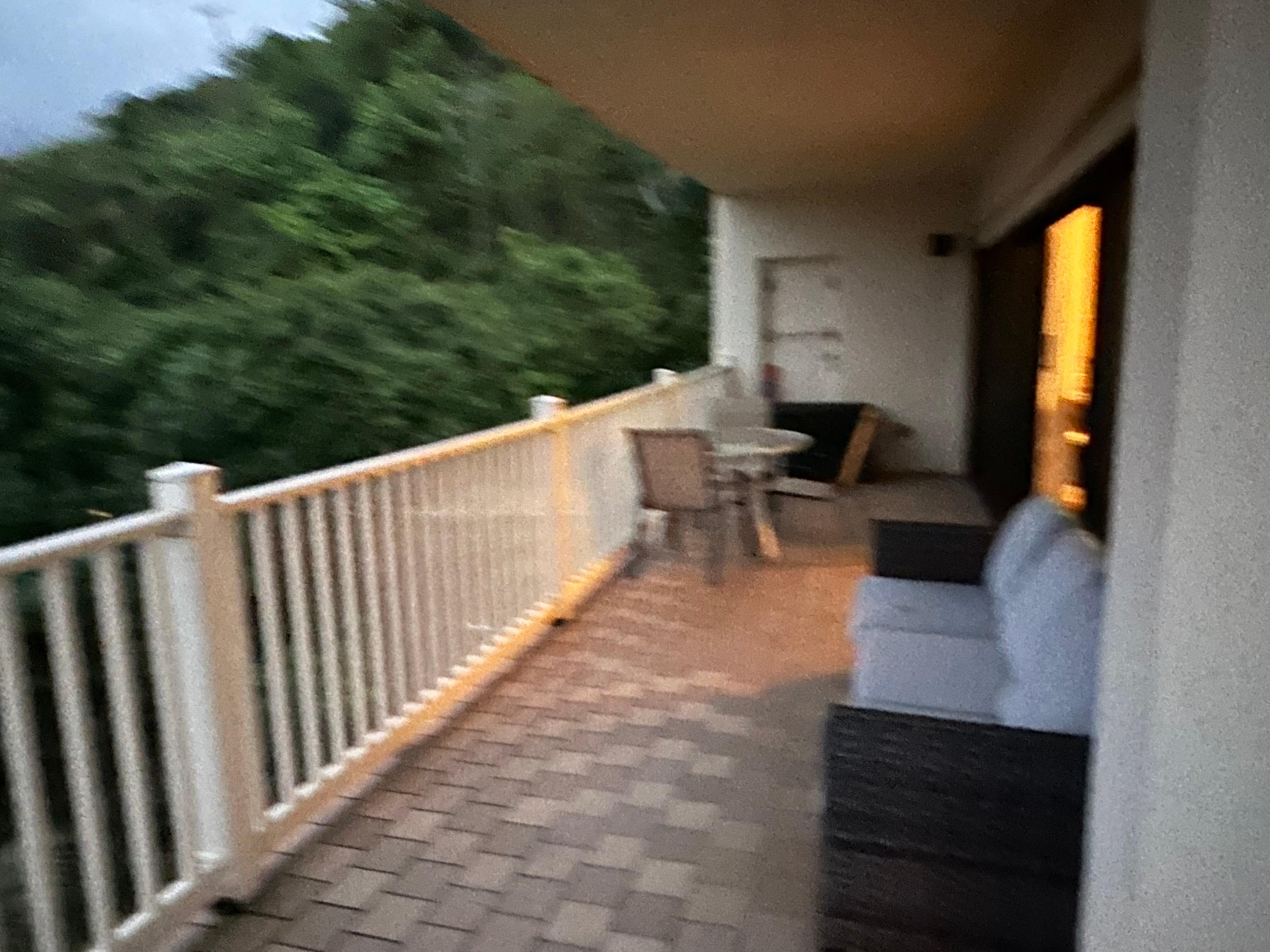 Beautiful outdoor space with views of the trees with iguanas basking in them.