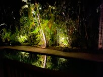 Pool at night