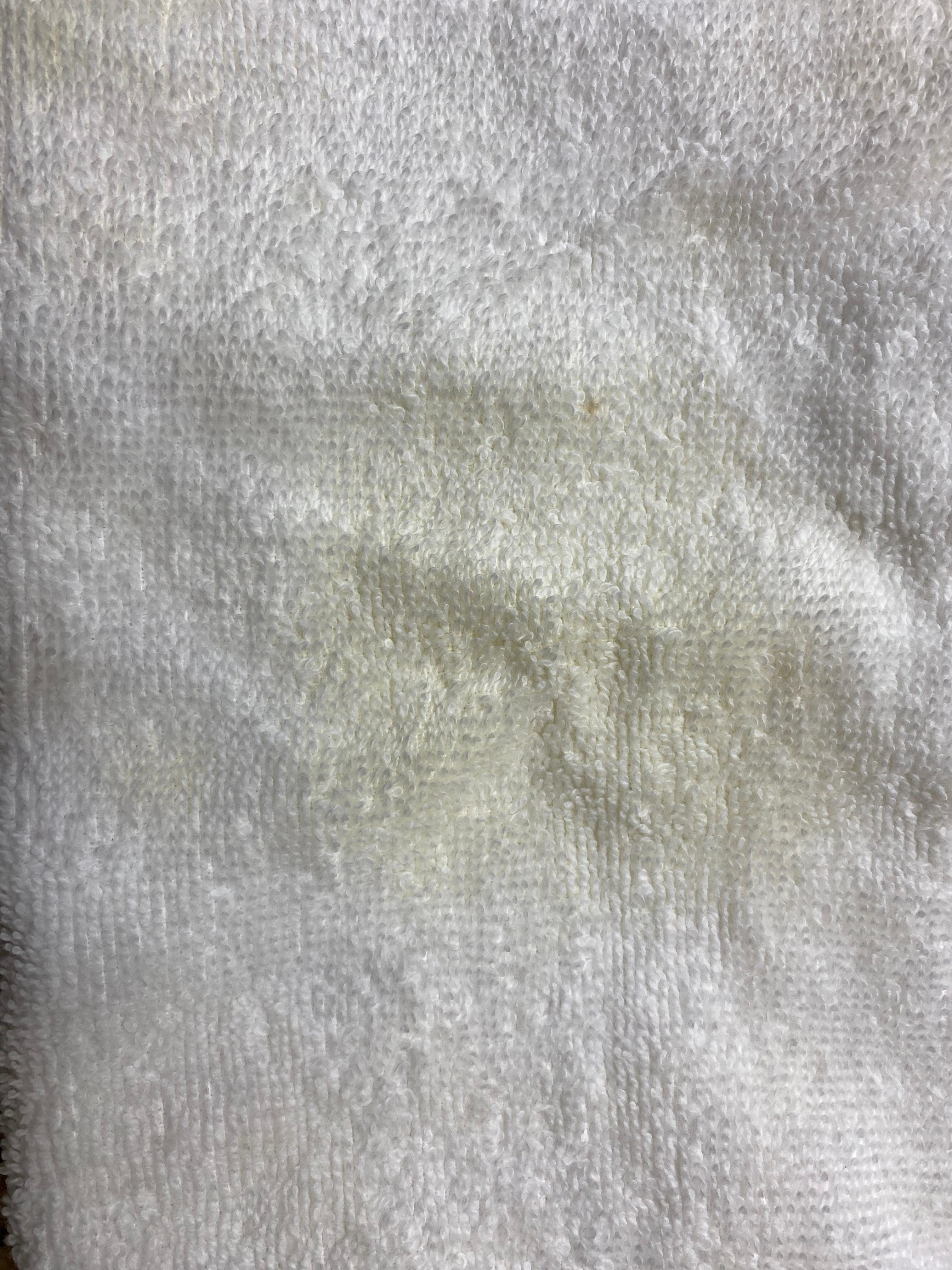 Bathroom towel (folded on rack)