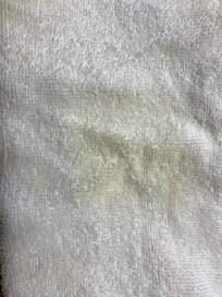 Bathroom towel (folded on rack)