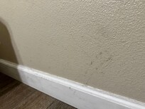 Entire room was dirty. Walls, door knobs, furniture were all grimy.