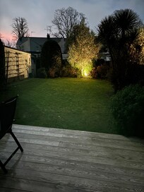 The garden at night