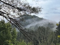 From porch