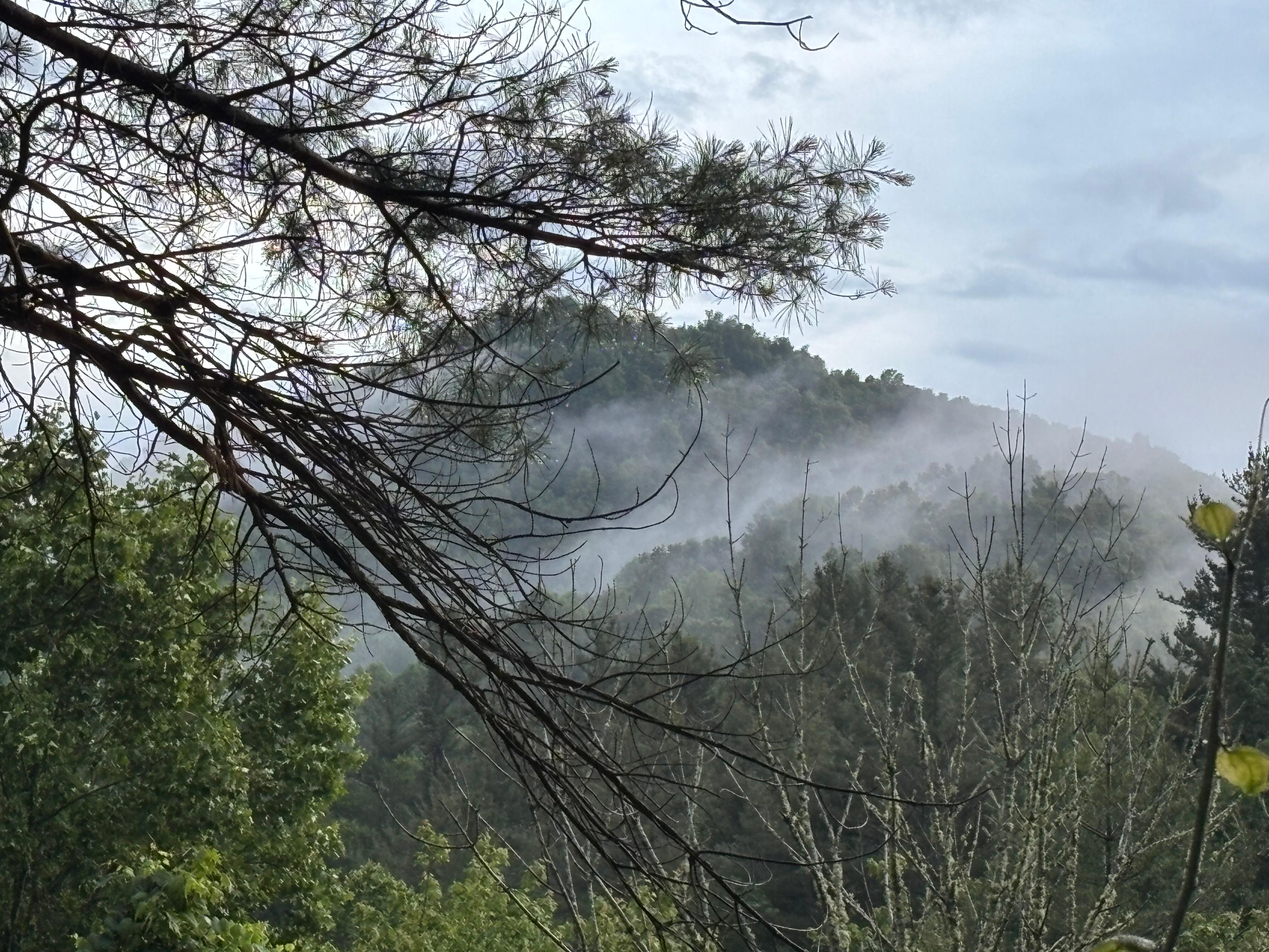 From porch