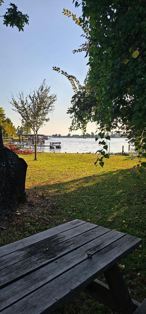 Another view from the Picnic table