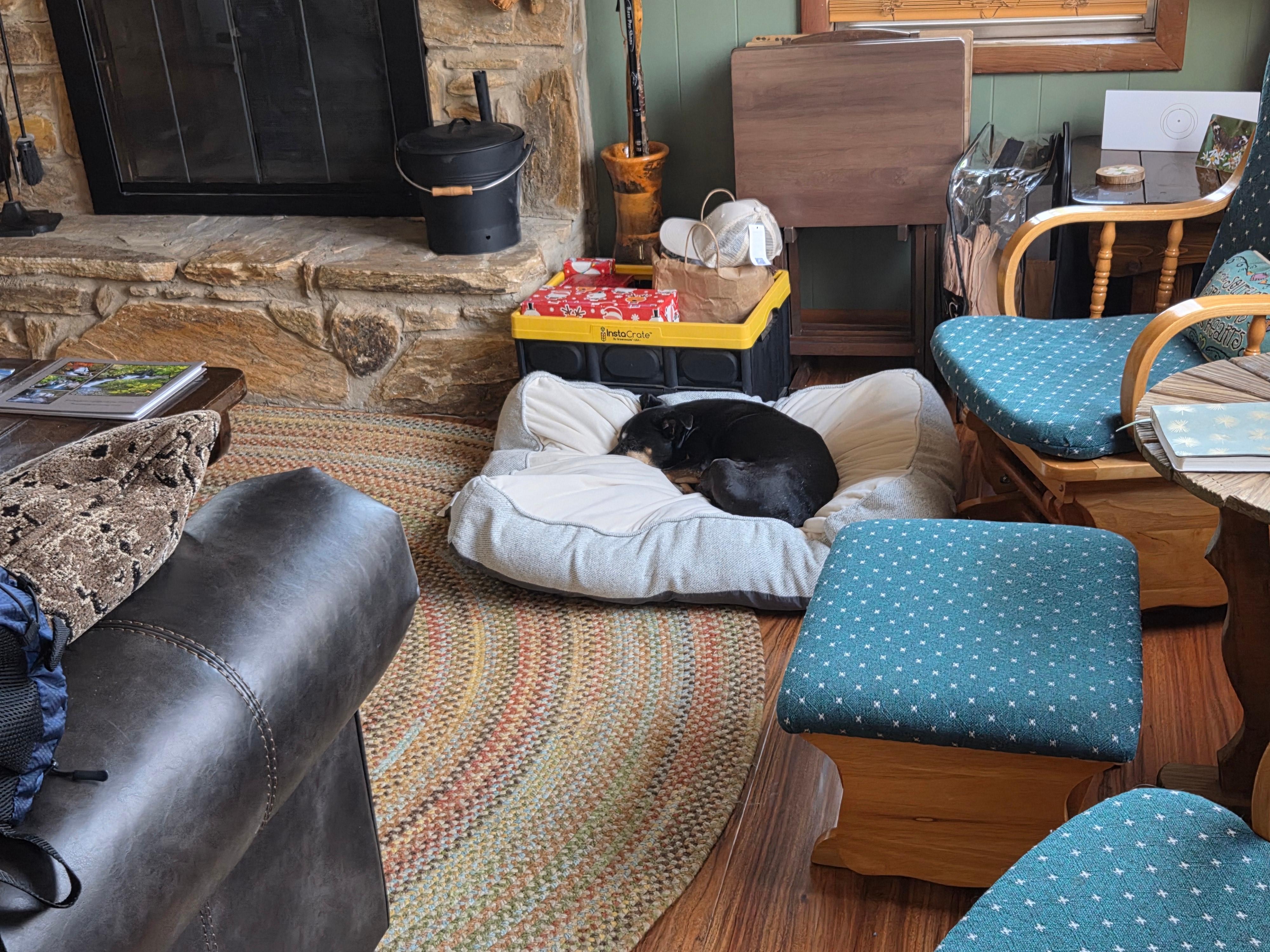 A pet bed was provided as well as dog treats.