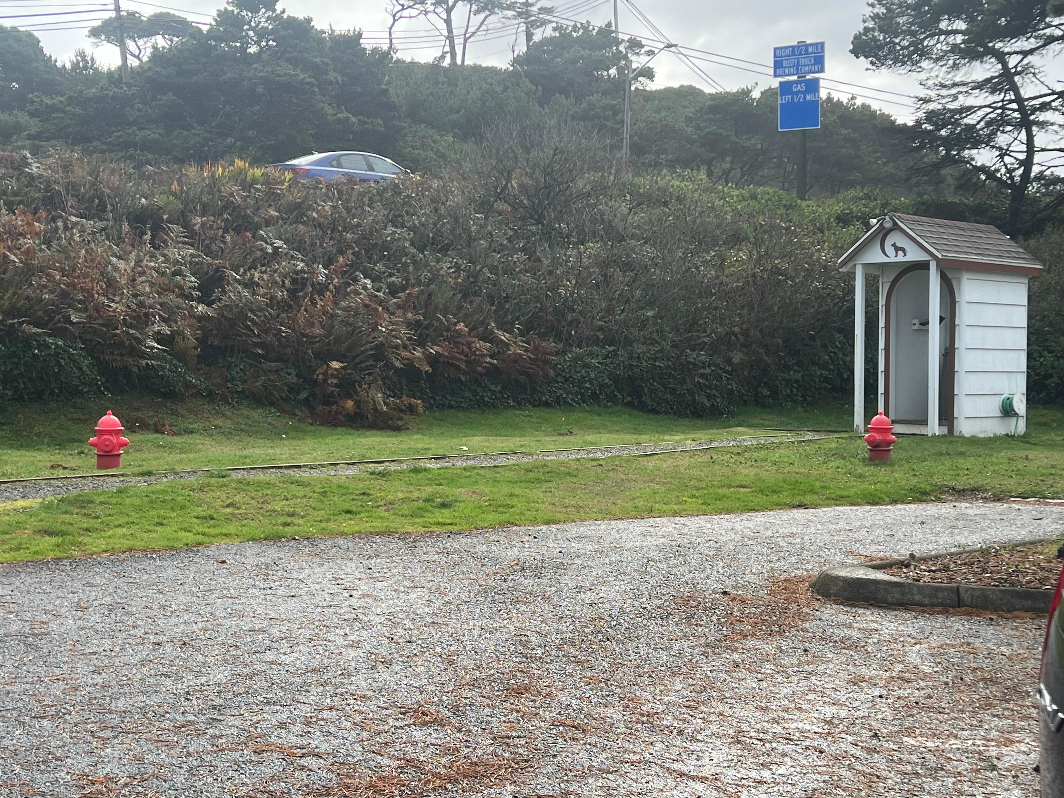 Dog area includes a wash