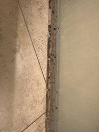 Shower door