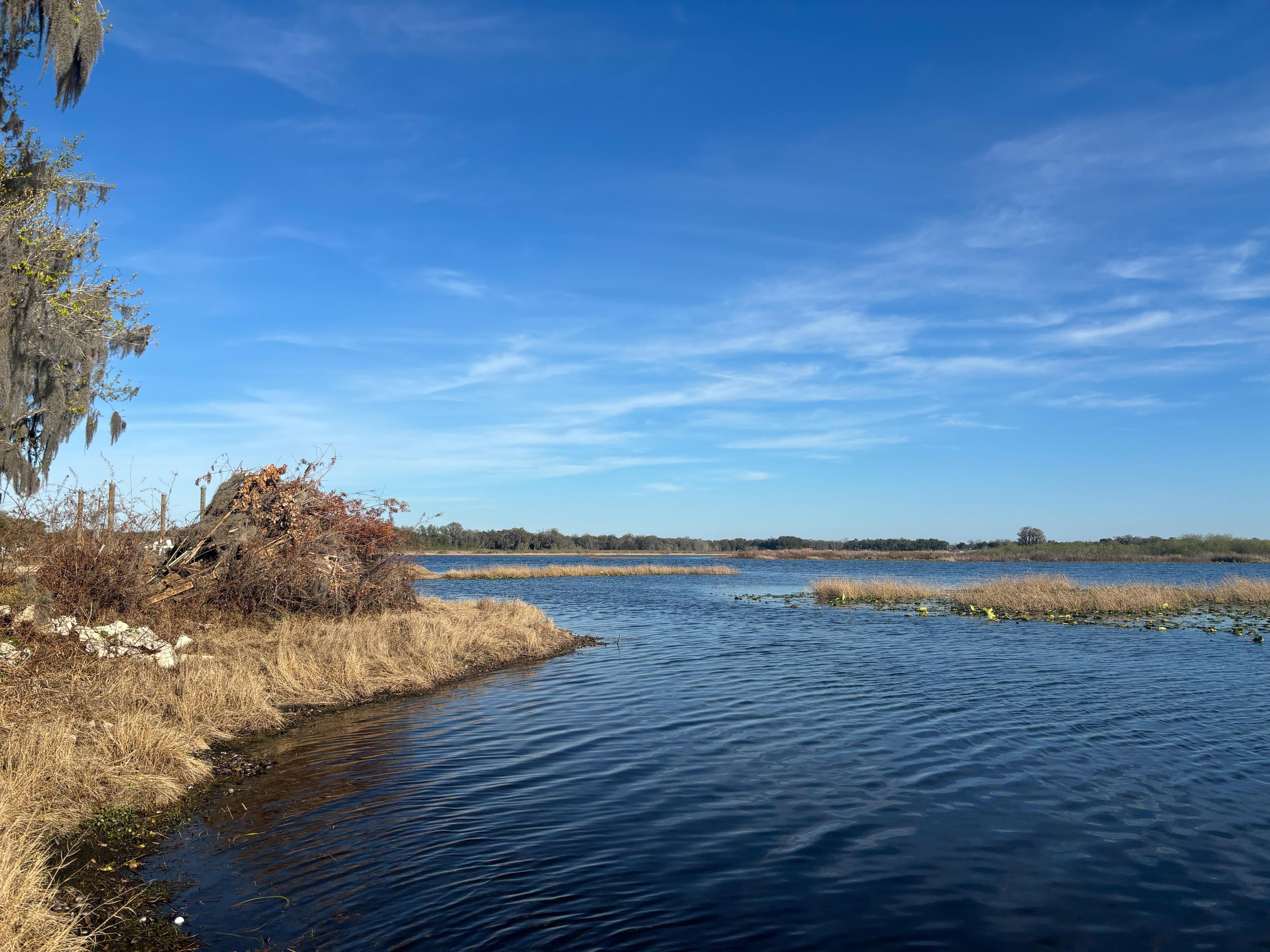 From back of cottage.