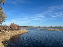 From back of cottage.