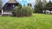 Offener Garten