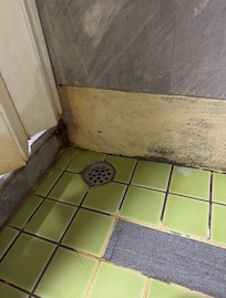 Mold and mildew