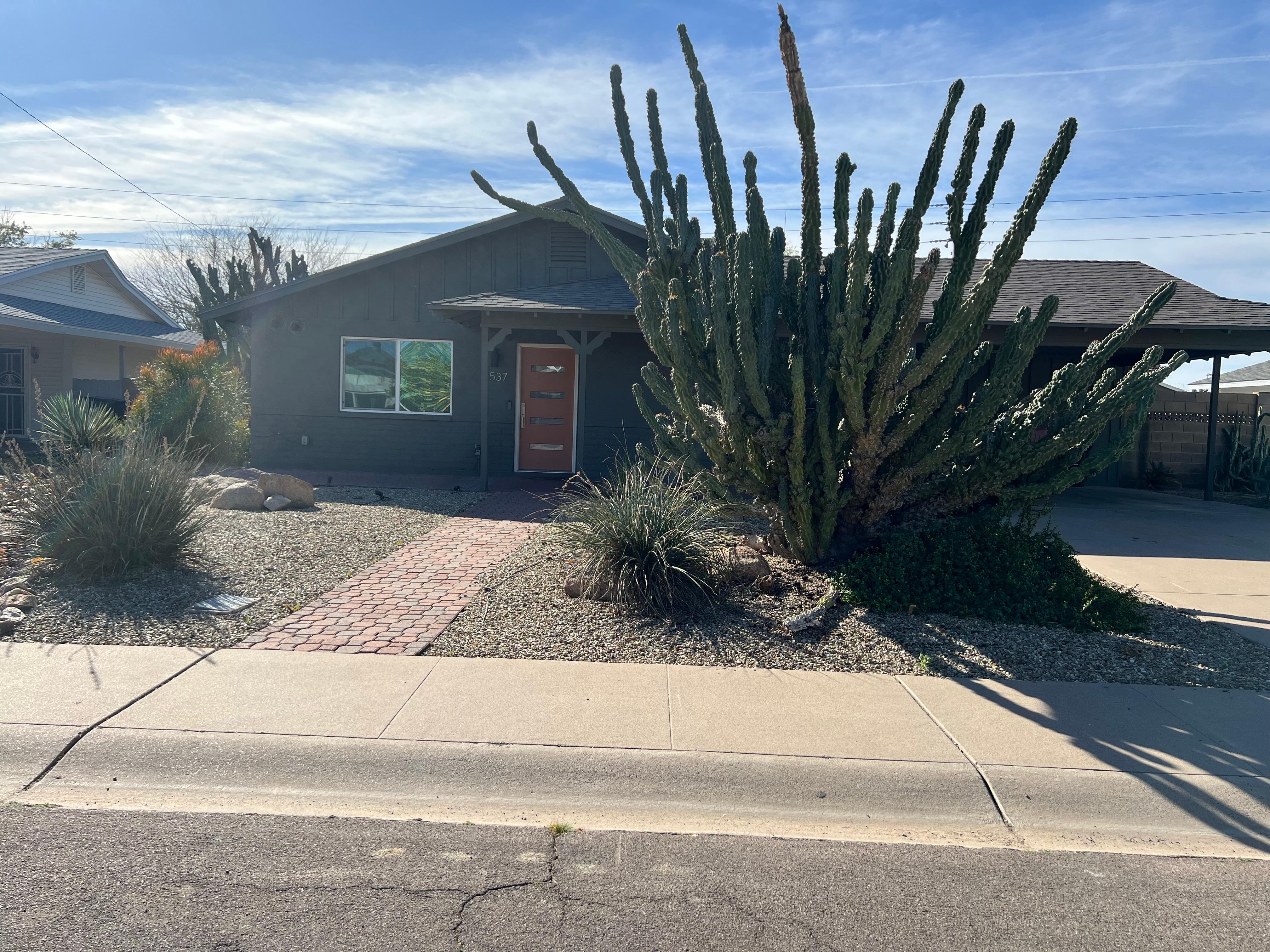 Couldn’t miss the house on a walk with this great cactus out front