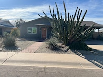 Couldn’t miss the house on a walk with this great cactus out front