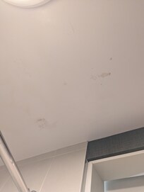 Mold on ceiling